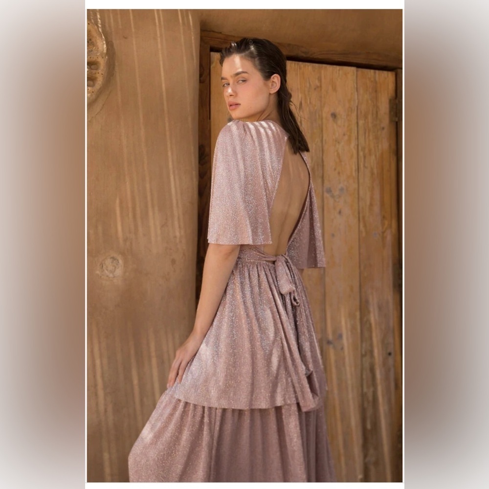 Sabina Musayev pink shimmering Maxi Dress OS - Picture 2 of 13